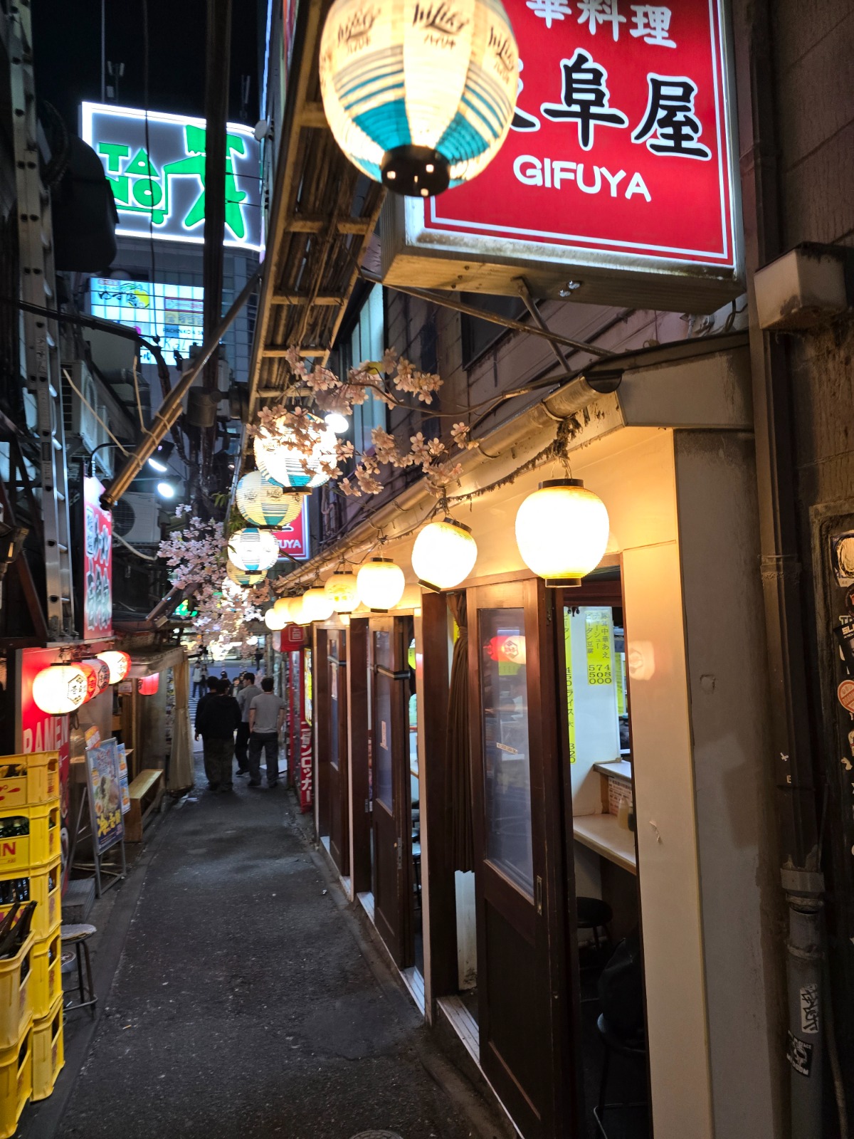 Kirschblüten über der Gifuya